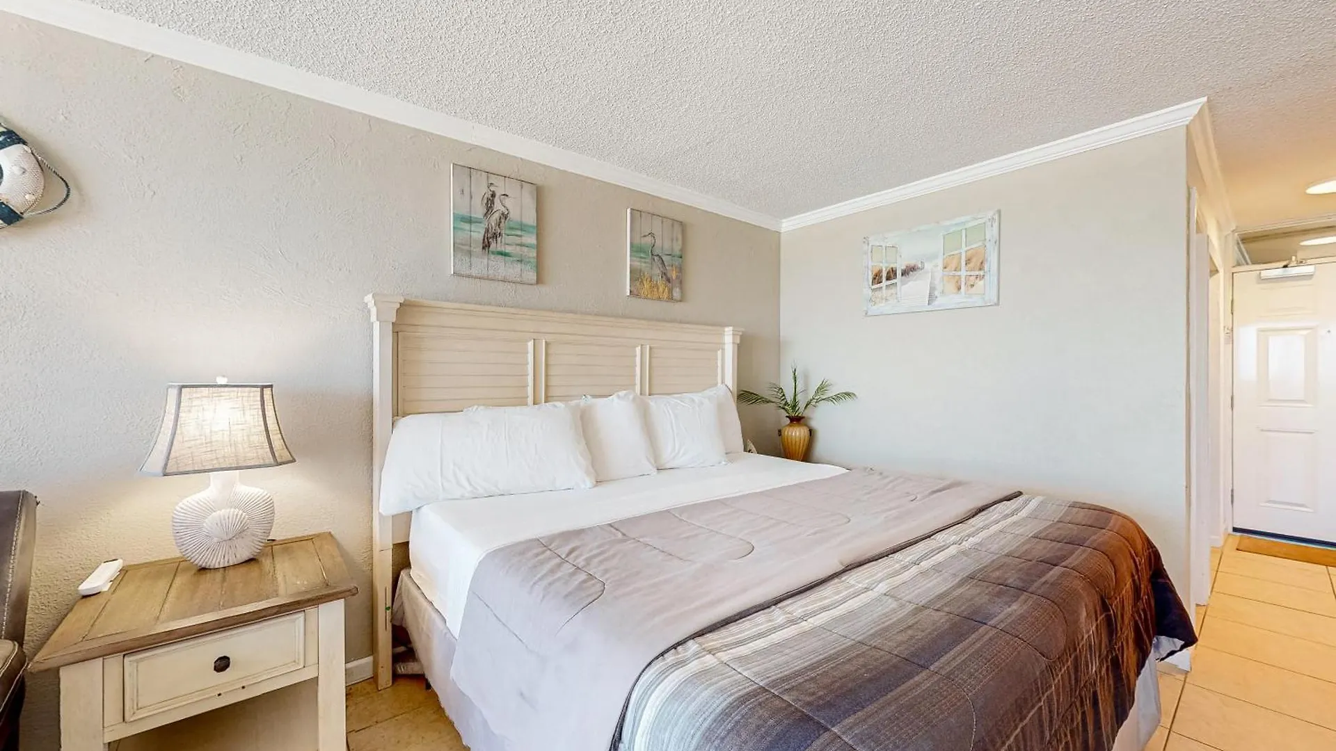 Sunshine & Oceanfront Serenity Daytona Beach Shores United States